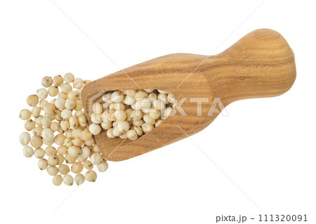 Sorghum seeds in wooden scoop isolated on white background. Top view. Flat lay. 111320091
