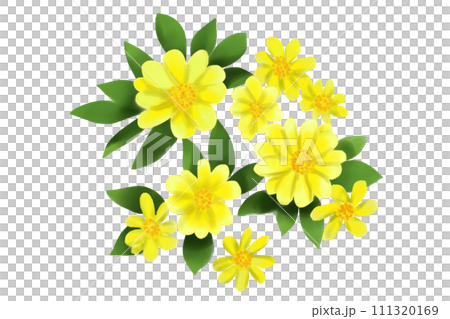 百日草、ジニア、細葉百日草の花のカード5 111320169