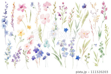 Big floral illustrations set with watercolor hand drawn flowers. Stock clip art. Big floral illustrations set with watercolor hand drawn flowers. Stock clip art. 111320203