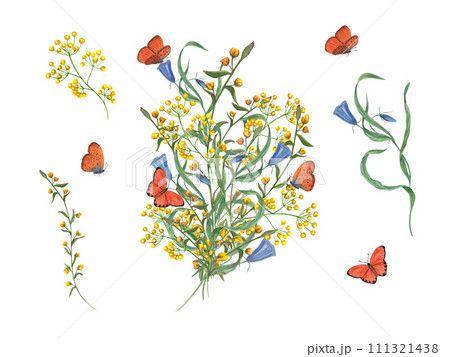 Bouquet of wild flowers and fluttering butterflies. Celebration watercolor plant illustration. For greeting card, different invitation templates, birthday cards 111321438