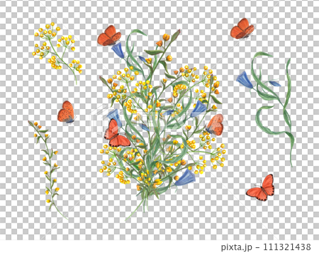 Bouquet of wild flowers and fluttering butterflies. Celebration watercolor plant illustration. For greeting card, different invitation templates, birthday cards 111321438