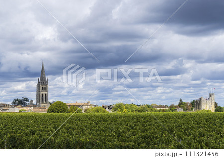 Vineyards with Saint-Emilion town, Aquitaine, Gironde, France 111321456
