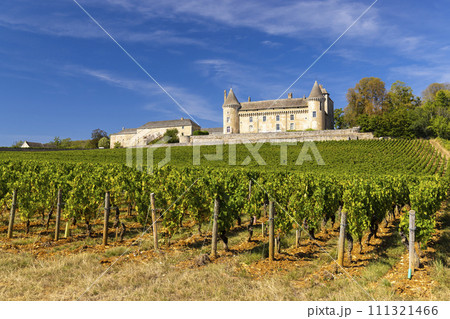 Chateau de Rully castle, Saone-et-Loire departement, Burgundy, France 111321466