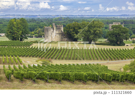 Budos castle (Chateau de Budos) in Sauternes wine region, Gironde departement, Aquitaine, France Budos castle (Chateau de Budos) in Sauternes wine region, Gironde departement, Aquitaine, France 111321660