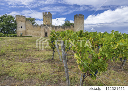 Budos castle (Chateau de Budos) in Sauternes wine region, Gironde departement, Aquitaine, France Budos castle (Chateau de Budos) in Sauternes wine region, Gironde departement, Aquitaine, France 111321661