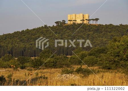 Castel del Monte, castle built in an octagonal shape by the Holy Roman Emperor Frederick II in the 13th century in Apulia region, Italy 111322002