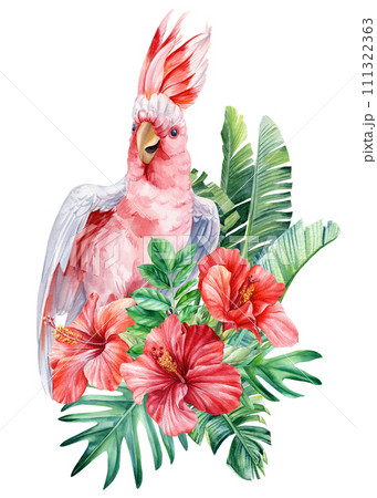 Exotic pink bird watercolor illustration hand drawn cockatoo parrot, summer flora, palm leaf, isolated white background 111322363