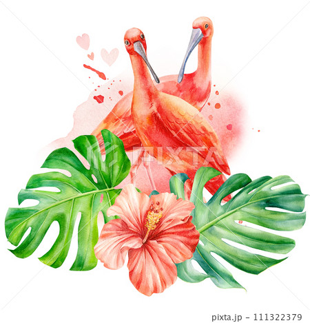 Tropical flowers, palm leaves and ibis birds. Jungle botanical watercolor illustrations, monstera, palm leaves, hibiscus Tropical flowers, palm leaves and ibis birds. Jungle botanical watercolor illustrations, monstera, palm leaves, hibiscus 111322379