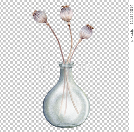 Set of watercolor illustrations of dry poppy seed boxes and tender botanical flower grass in glass vase for Easter designs. Pastel watercolor illustration on a isolated on white background Set of watercolor illustrations of dry poppy seed boxes and tender botanical flower grass in glass vase for Easter designs. Pastel watercolor illustration on a isolated on white background 111323014
