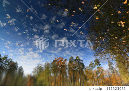 Autumn landscape on the surface of water. Reflected autumn landscape in the water which was being flipped upside down. Autumn landscape on the surface of water. Reflected autumn landscape in the water which was being flipped upside down. 111323983