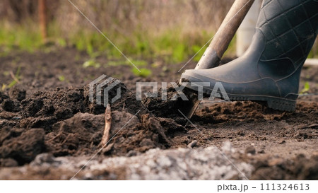 agriculture, farmer dripping soil foot rubber boots, ground, earth business, worker digs fertile soil shovel, ecological vegetable growing, agricultural business, shovel tool, close-up, shovel digging 111324613