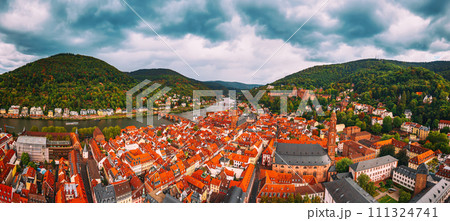 View of Heidelberg 111324741