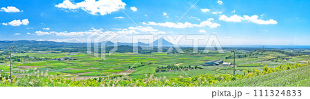 【高塚丘 (茶ばっけん丘)より開聞岳と一面の茶畑】 (高解像度版) 鹿児島県南九州市知覧町西元 【高塚丘 (茶ばっけん丘)より開聞岳と一面の茶畑】 (高解像度版) 鹿児島県南九州市知覧町西元 111324833