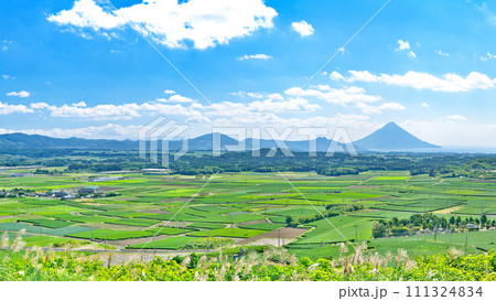 【高塚丘 (茶ばっけん丘)より開聞岳と一面の茶畑】 (高解像度版) 鹿児島県南九州市知覧町西元 111324834