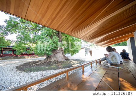 三大東照宮 上野東照宮 三大東照宮 上野東照宮 111326287