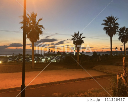 ヤシの木のある夕景 111326437