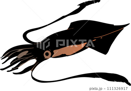 水墨画のヤリイカのイラスト 水墨画のヤリイカのイラスト 111326917