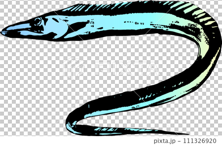 Ink painting of cutlassfish Ink painting of cutlassfish 111326920