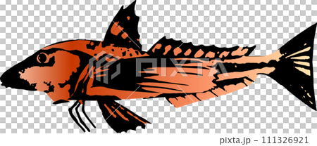 Gurnard ink painting illustration Gurnard ink painting illustration 111326921