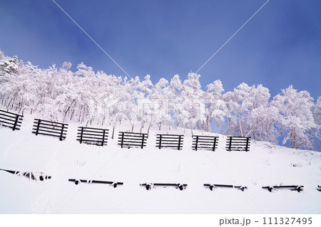 雪崩防止と青空と樹氷 冬イメージ 雪崩防止と青空と樹氷 冬イメージ 111327495