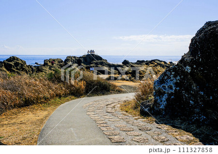 野島崎の遊歩道1 野島崎の遊歩道1 111327858