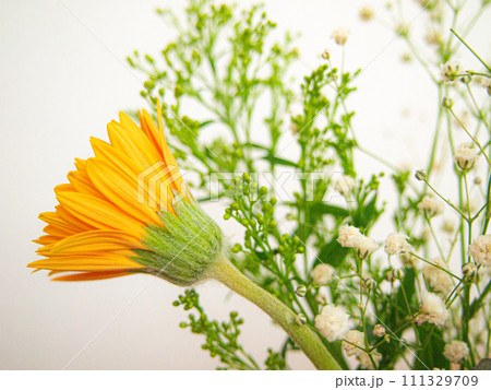 インテリアグリーン　フラワーブーケ 111329709