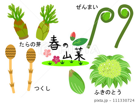 春の山菜4点セット(たらの芽/ぜんまい/つくし/ふきのとう) 春の山菜4点セット(たらの芽/ぜんまい/つくし/ふきのとう) 111330724