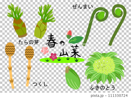 春季野菜4件組（鱈魚芽/春菜/馬尾草/蜂斗菜） 111330724