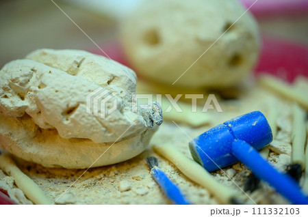 plaster of paris dinosaur eggs with excavation tools for youth fun. plaster of paris dinosaur eggs with excavation tools for youth fun. 111332103