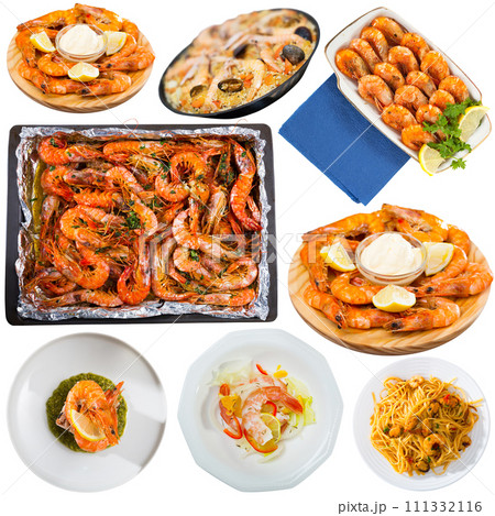 Collection of shrimps dishes Collection of shrimps dishes 111332116