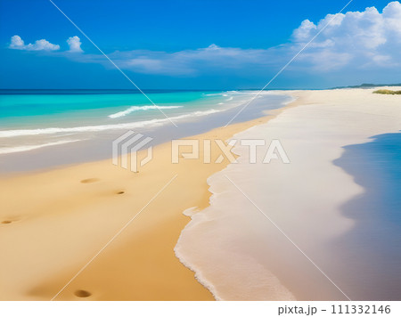 beautiful beach with blue sky 111332146