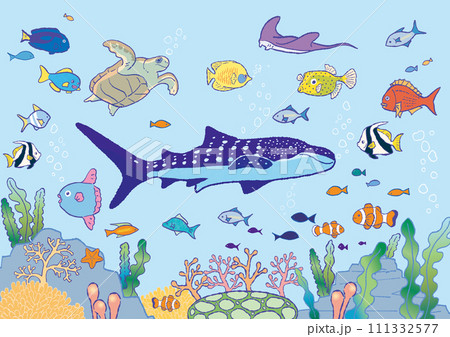 海の生き物 たくさんの魚のベクターイラストセット 111332577