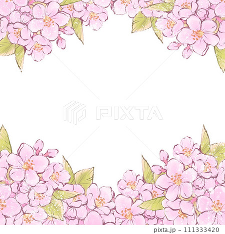 桜　フレーム　背景　春　さくら　サクラ　花　水彩　手描き　線画　コピースペース　イラスト素材 111333420