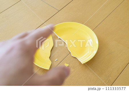 割れた皿 割れた皿 111333577