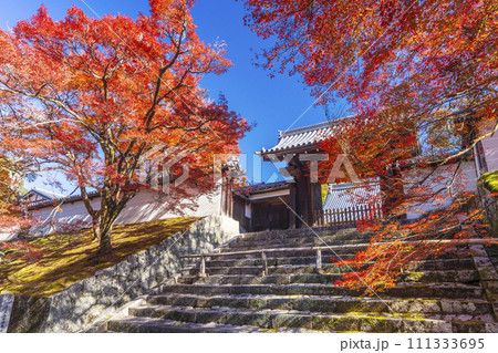 秋の京都 曼殊院 紅葉に包まれた勅使門 秋の京都 曼殊院 紅葉に包まれた勅使門 111333695