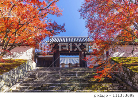 秋の京都 曼殊院 紅葉に包まれた勅使門 秋の京都 曼殊院 紅葉に包まれた勅使門 111333698