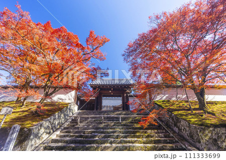 秋の京都 曼殊院 紅葉に包まれた勅使門 秋の京都 曼殊院 紅葉に包まれた勅使門 111333699