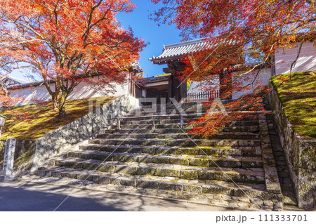 秋の京都 曼殊院 紅葉に包まれた勅使門 秋の京都 曼殊院 紅葉に包まれた勅使門 111333701