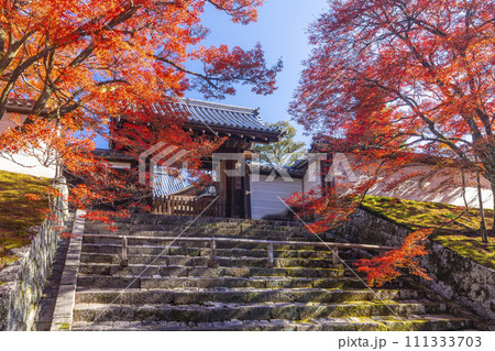 秋の京都 曼殊院 紅葉に包まれた勅使門 秋の京都 曼殊院 紅葉に包まれた勅使門 111333703