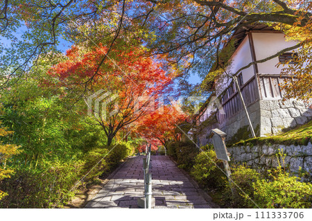 秋の京都 曼殊院 紅葉に包まれた北通用門 秋の京都 曼殊院 紅葉に包まれた北通用門 111333706