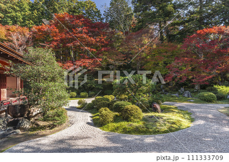 秋の京都　曼殊院　紅葉と枯山水庭園 111333709