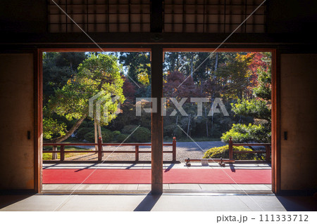 秋の京都　曼殊院　書院から眺める枯山水庭園 111333712