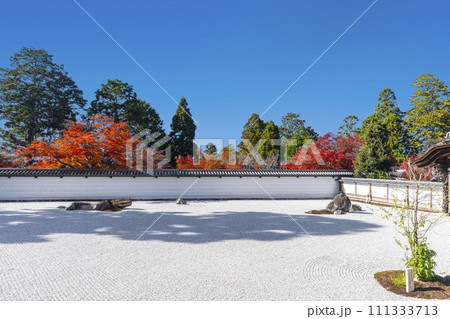 秋の京都　曼殊院門跡　紅葉の盲亀浮木乃庭 111333713