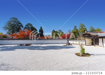 秋の京都　曼殊院門跡　紅葉の盲亀浮木乃庭 111333714