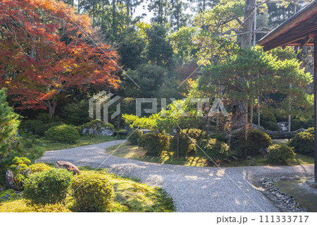 秋の京都　曼殊院　紅葉と枯山水庭園 111333717