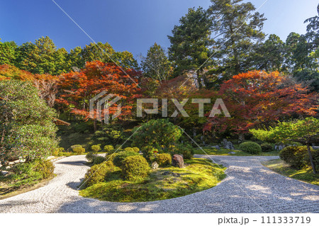 秋の京都　曼殊院　紅葉と枯山水庭園 111333719