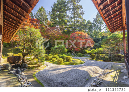 秋の京都 曼殊院 紅葉と枯山水庭園 秋の京都 曼殊院 紅葉と枯山水庭園 111333722