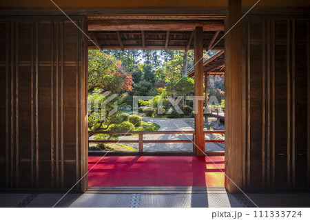 秋の京都　曼殊院　書院から眺める枯山水庭園 111333724