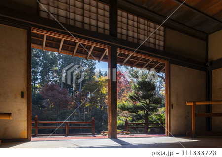 秋の京都　曼殊院　書院から眺める枯山水庭園 111333728