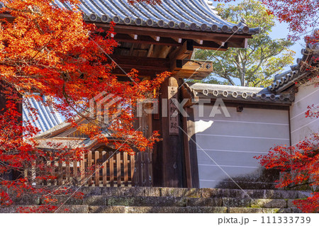 秋の京都　曼殊院　紅葉に包まれた勅使門 111333739